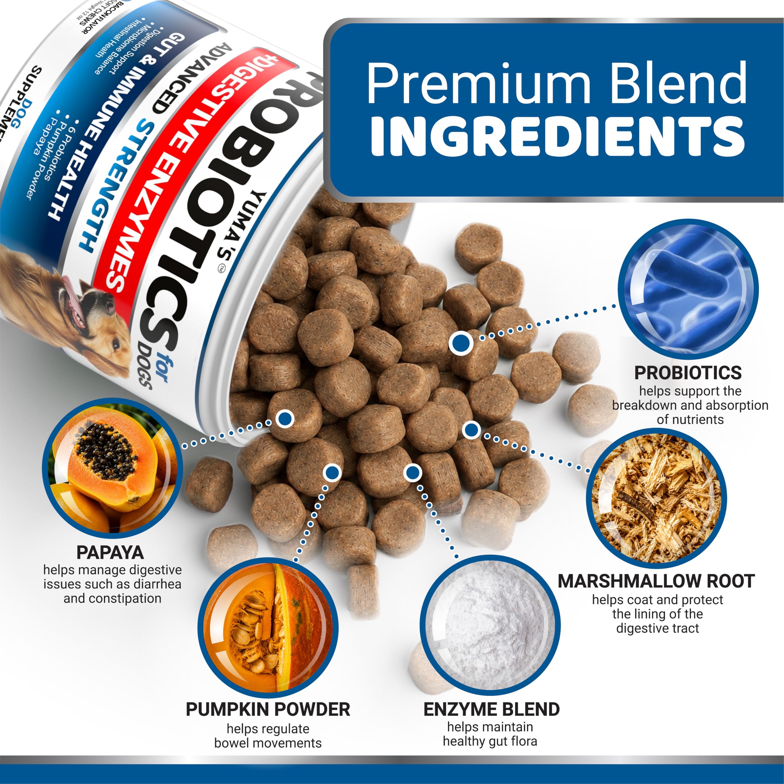 YUMA'S dog probiotic chews featuring probiotics and prebiotics.