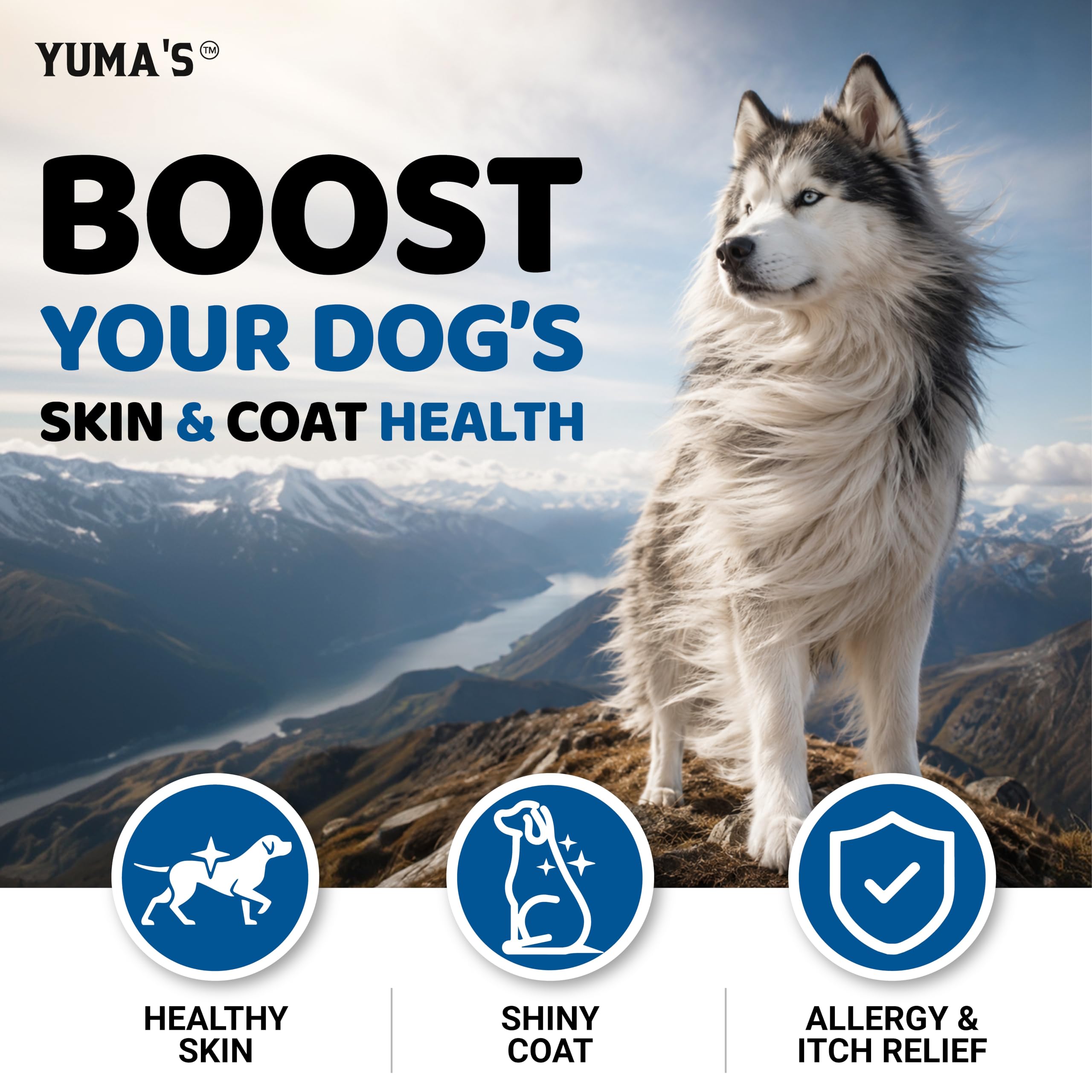 A dog taking a chew from YUMA'S Omega 3 Fish Oil for Dogs.
