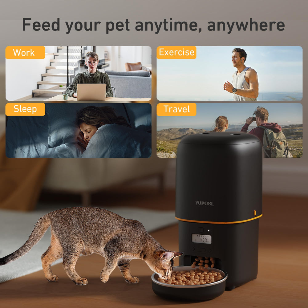 Yuposl automatic cat feeders arranged as separate feeding stations for multiple pets.