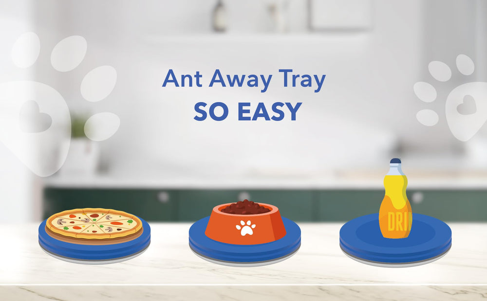 Yuwoda Ant Away Tray holding a ceramic pet bowl.
