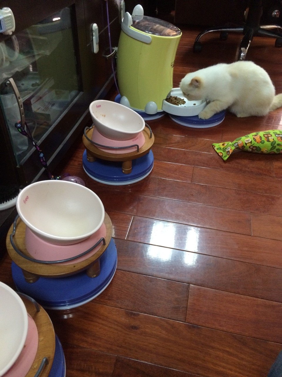 Yuwoda Ant Away Tray in use at a dog's indoor feeding spot.