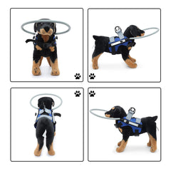 YUXun YX Blind Dog Ring shown in its blue colour.