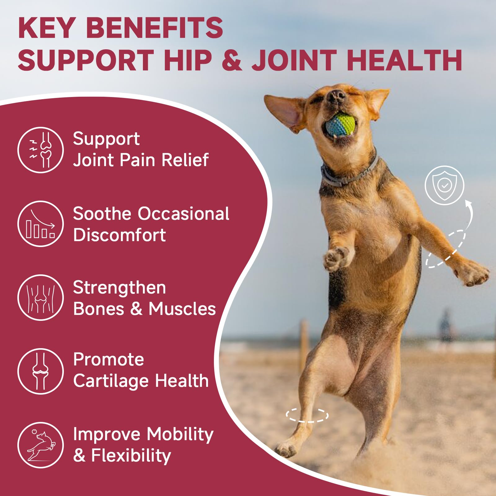 ZEBORA dog glucosamine chew shown in a close-up view.