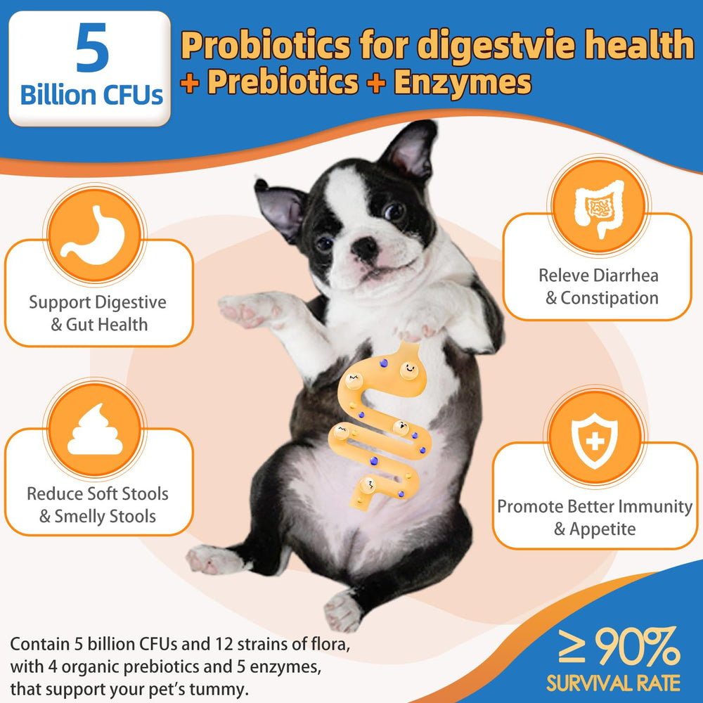 ZEBORA Dog Vitamins Powder daily multivitamin formula for overall pet wellness.