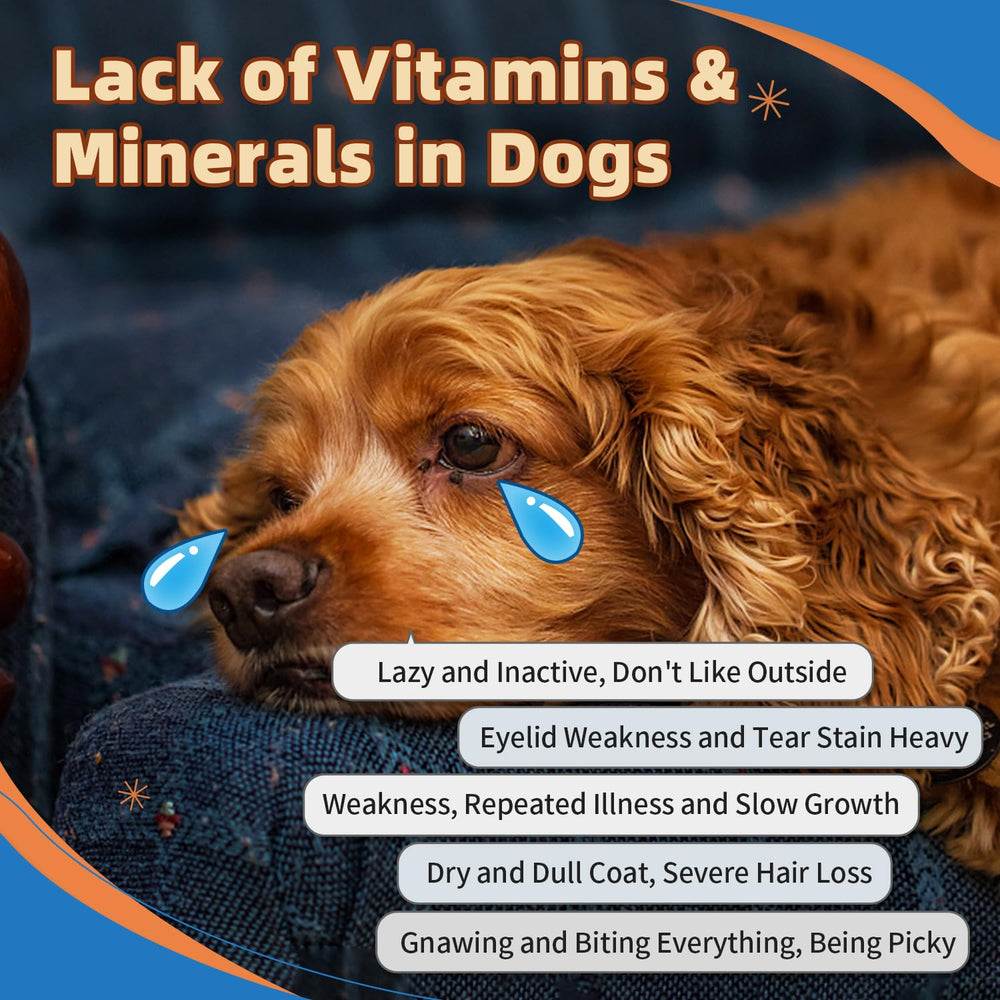 ZEBORA Dog Vitamins Powder product identified for dogs and cats.
