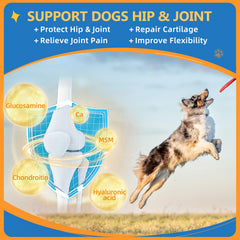 ZEBORA Dog Vitamins Powder skin and coat ingredients with vitamins and omega fatty acids.