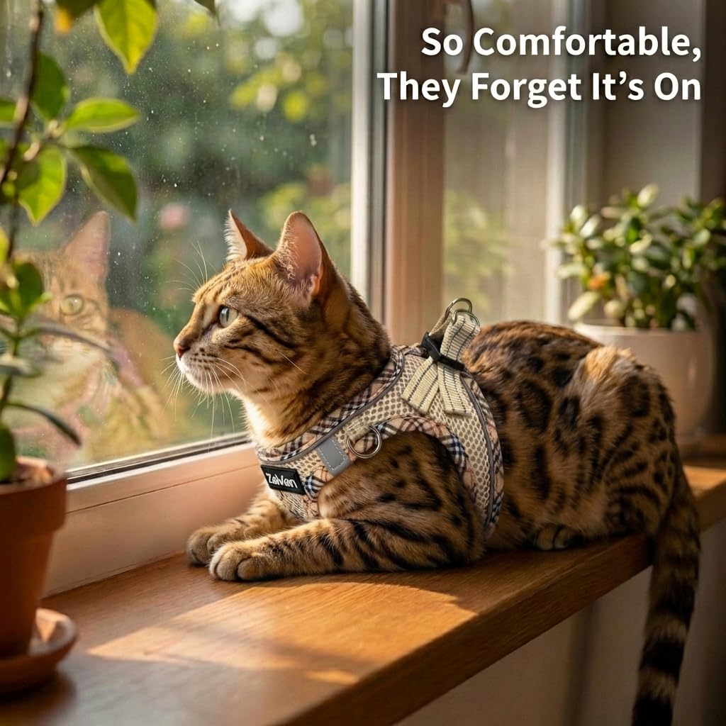 Zelvian cat harness shown in use for a supervised walk.