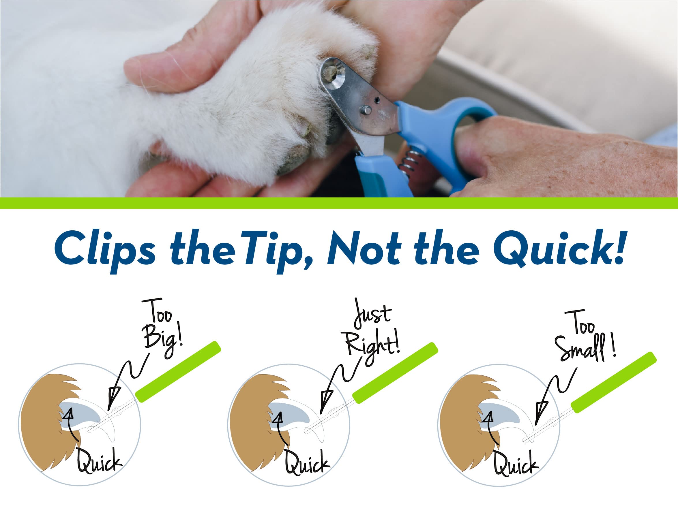 Zen Clipper Cat Nail Clippers showing the small cutting hole.