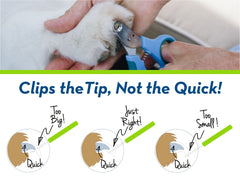 Zen Clipper Cat Nail Clippers showing the small cutting hole.