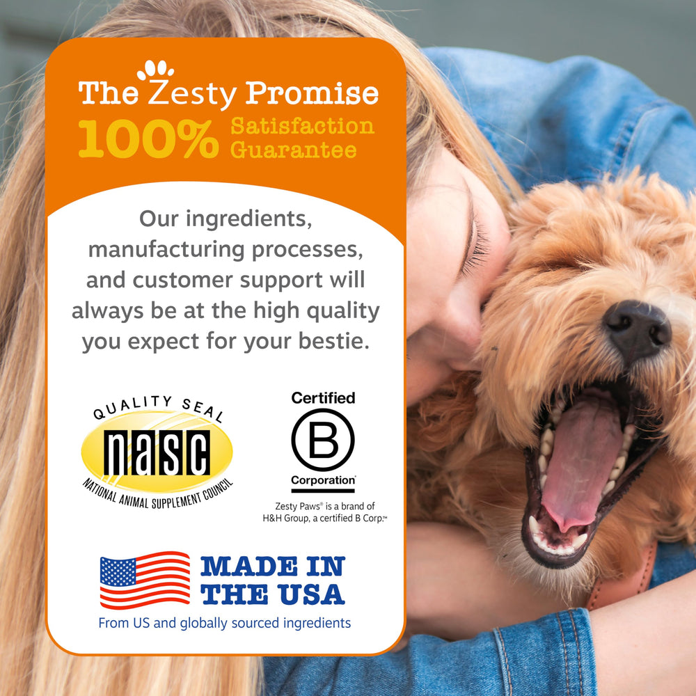 The 12-count pack of Zesty Paws dental dog bones.