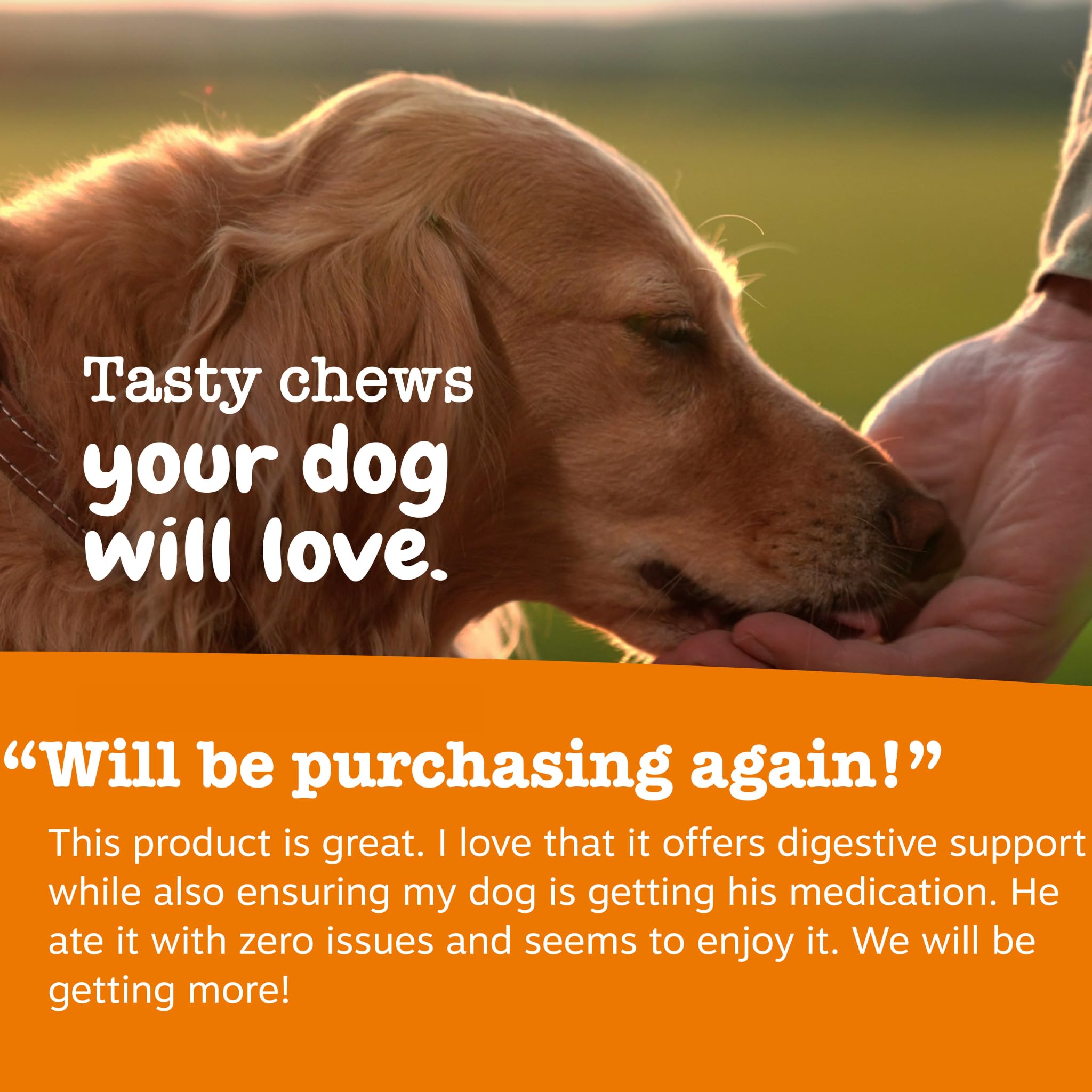 Zesty Paws Probiotic Pill Wrap label showing product details.
