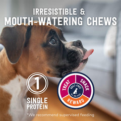 A dog enjoying a chew from ZIWI Beef Weasand Dog Treats.