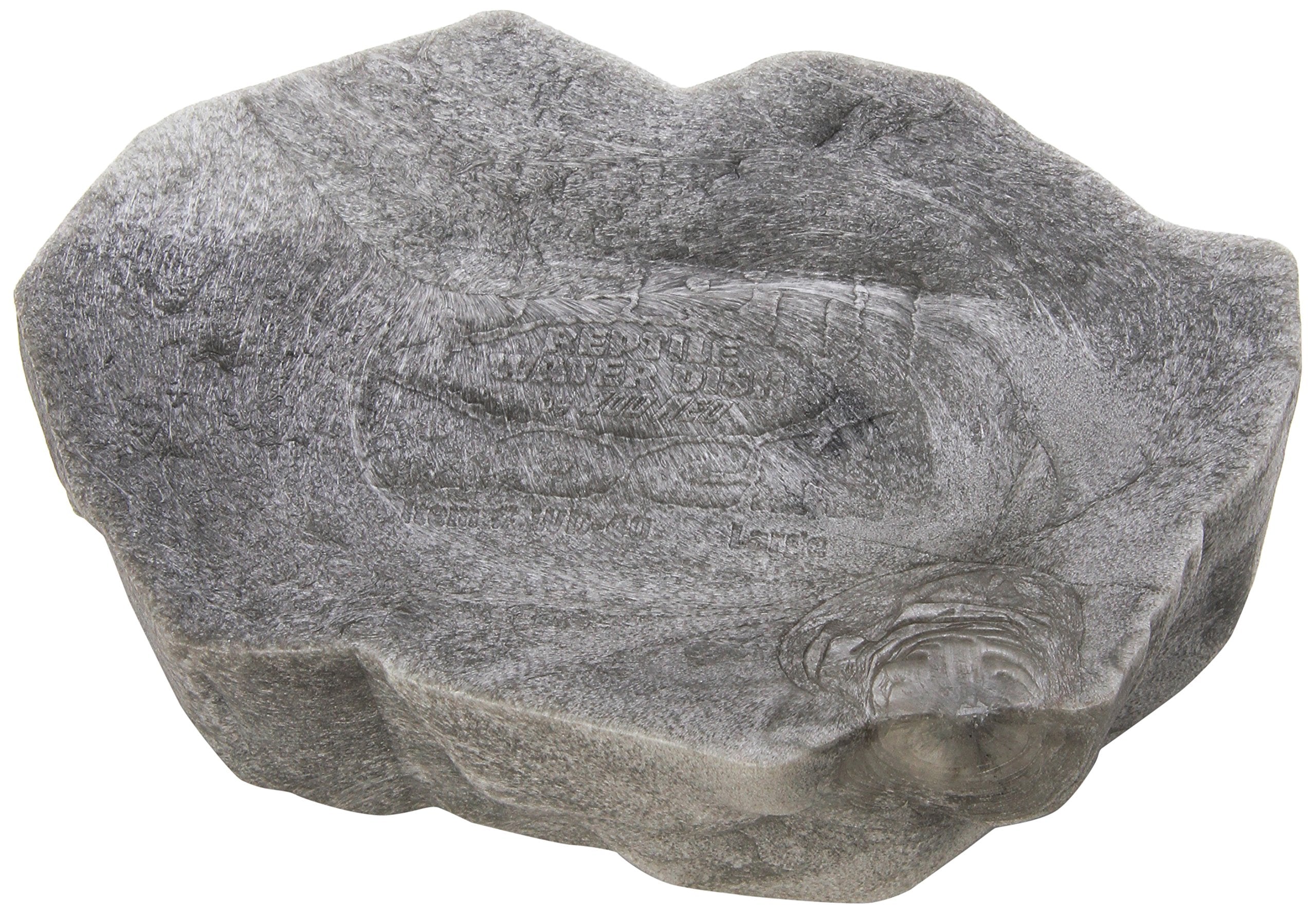 Zoo Med Reptile Rock Water Dish showing the molded stairs inside the bowl.