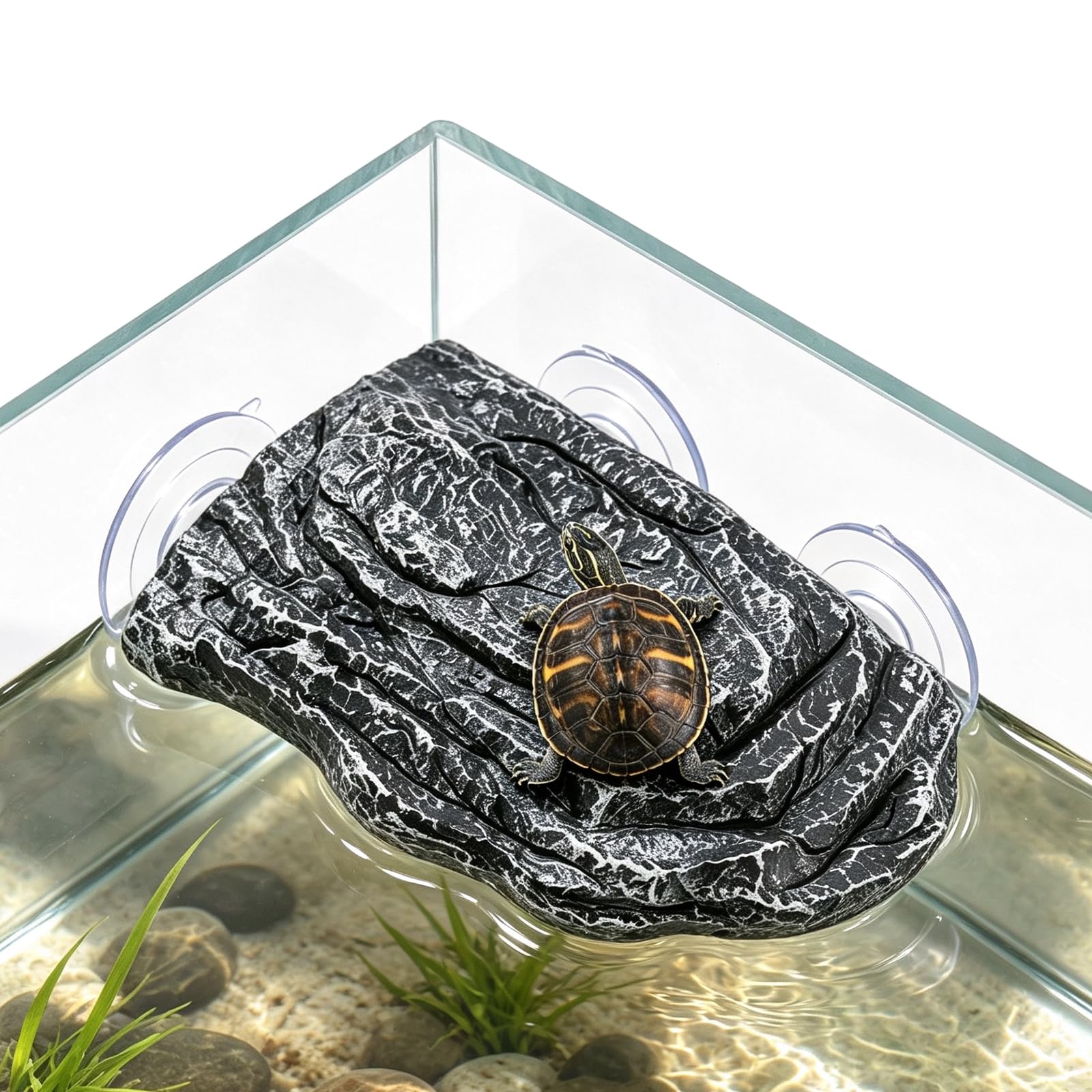 Zorivane turtle basking platform shown from the front with its ramp and resting terrace.