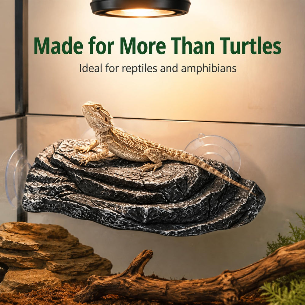 Zorivane turtle basking platform positioned above the water in an aquarium setting.