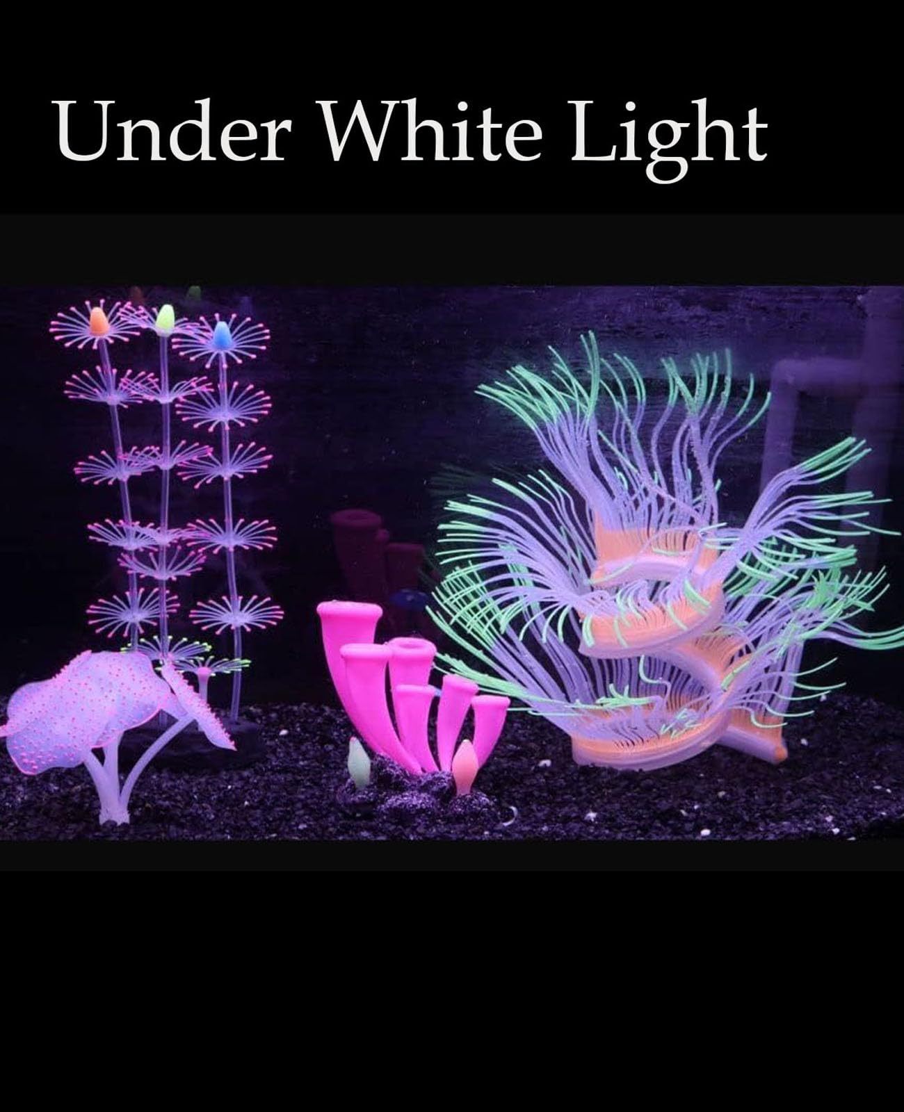 ZtohPyo aquarium decoration showing the resin base and sucker attachment.