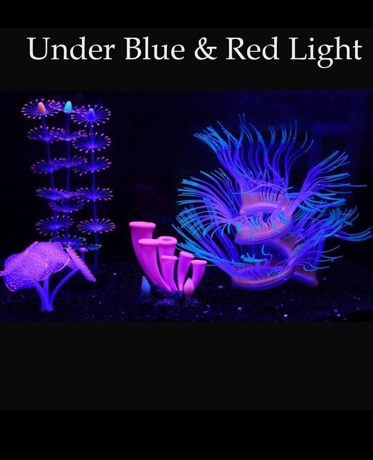 ZtohPyo aquarium decoration showing the soft silicone surface of an ornament.